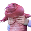 MAGAIBA