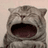 MAOW