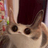 MEEP