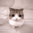 MEOWPIN