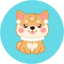 MOMMYDOGE