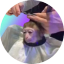 MONK