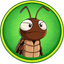 COCKROACH