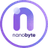 NBT