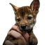 NEKA