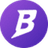 NBASIS