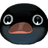 NOOT