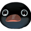 NOOT