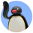 NOOT