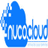 NCDT