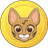 OCI