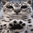 PAWS