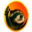 PEDRO