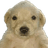 JOTCHUA