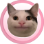 POCAT