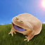 POLYWOG