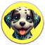 PONGO