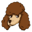 POODL