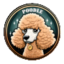 POODLE