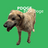 PDOGE
