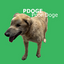 PDOGE