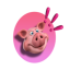 PORK