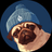 PUGWIF