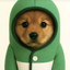 PUP