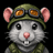 RAT