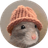 RATWIF