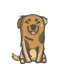 SABAKA INU