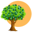 TREES