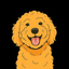 SAMSON