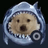 SHARKDOG