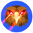 QOM