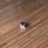 SMOL