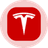 TSLAON