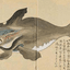 JAPANWHALE