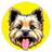 TOTO