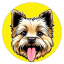 TOTO