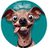 UGLYDOG