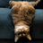 USDCAT