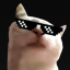 VCAT