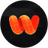 WIRE