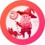 WIZARD