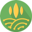 ZEFI