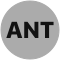 ants