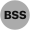 币安BSS