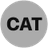 CAT🌟