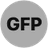 GFPGAN